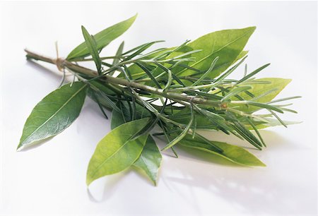 fresh rosemary - Fresh Rosemary and Bay Leaves Foto de stock - Sin royalties Premium, Código: 659-01842346