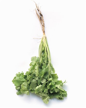 simsearch:659-01844281,k - A Bunch of Cilantro Fotografie stock - Premium Royalty-Free, Codice: 659-01842628