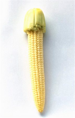 simsearch:659-01853364,k - Baby Corn Stock Photo - Premium Royalty-Free, Code: 659-01842636