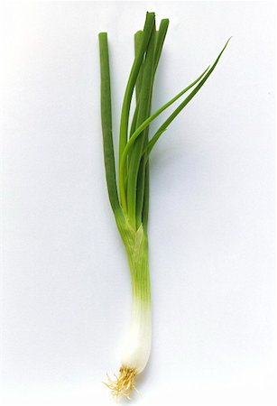 A Green Onion Foto de stock - Sin royalties Premium, Código: 659-01842637