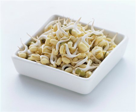 Bean Sprouts in Rectangular Dish Stock Photo - Premium Royalty-Free, Code: 659-01842639