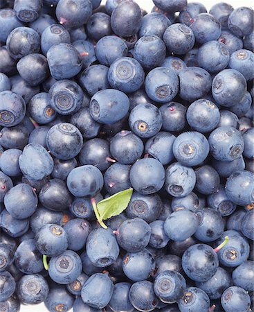 Blueberries Stock Photo - Premium Royalty-Free, Code: 659-01842981