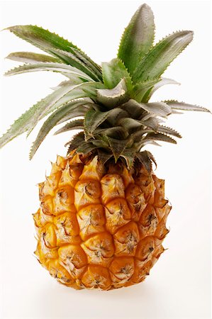 single pineapple - Fresh baby pineapple Stock Photo - Premium Royalty-Free, Code: 659-01843335