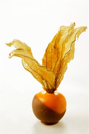 simsearch:659-01846688,k - Physalis enrobés de chocolat Photographie de stock - Premium Libres de Droits, Code: 659-01843347