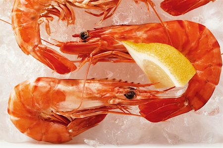 simsearch:659-01850865,k - Shrimps with lemon on crushed ice (close-up) Stock Photo - Premium Royalty-Free, Code: 659-01843372