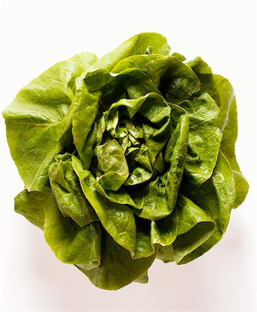 Lettuce Stock Photo - Premium Royalty-Free, Code: 659-01843507