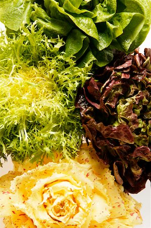 simsearch:659-06494665,k - Lettuce, curly endive, oak leaf lettuce & red & white radicchio Foto de stock - Sin royalties Premium, Código: 659-01843508