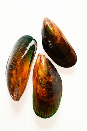 simsearch:659-01844635,k - New Zealand mussels Fotografie stock - Premium Royalty-Free, Codice: 659-01843589