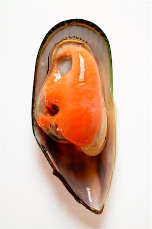 New Zealand mussel in mussel shell Stock Photo - Premium Royalty-Free, Code: 659-01843595