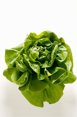 simsearch:659-06151105,k - Lettuce Stock Photo - Premium Royalty-Free, Code: 659-01843780