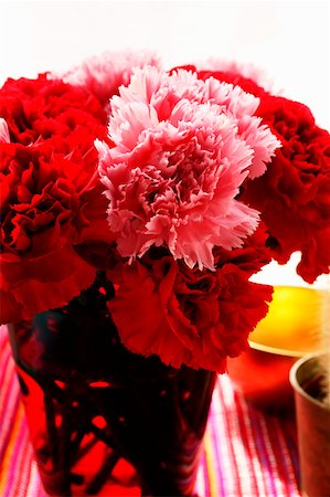 Bouquet of red and pink carnations Stock Photo - Premium Royalty-Free, Code: 659-01843861