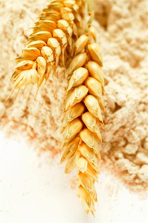 simsearch:659-01843875,k - Épis de céréales sur farine complète Photographie de stock - Premium Libres de Droits, Code: 659-01843881