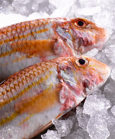 Two red mullet on ice Stock Photo - Premium Royalty-Free, Code: 659-01854184