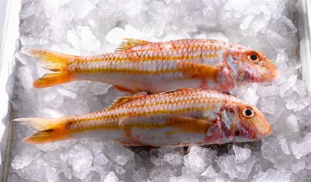fish ice - Two red mullet on ice Stock Photo - Premium Royalty-Free, Code: 659-01854185