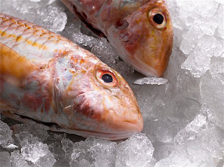 Two red mullet on ice Stock Photo - Premium Royalty-Free, Code: 659-01854186