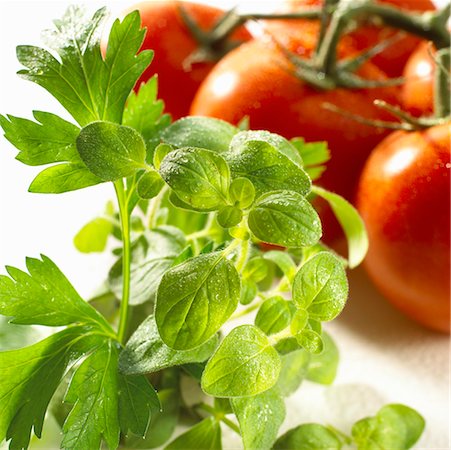 Oregano, parsley and tomatoes Stock Photo - Premium Royalty-Free, Code: 659-01854182