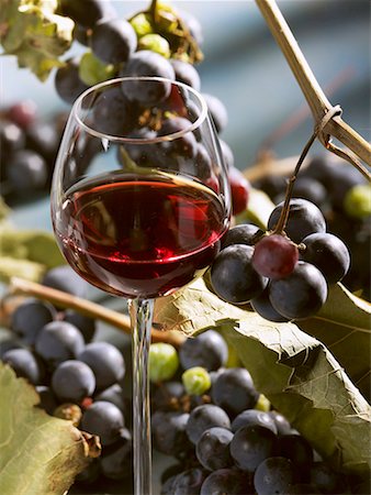 simsearch:659-06154190,k - A glass of red wine with grapes in the background Stock Photo - Premium Royalty-Free, Code: 659-01854258