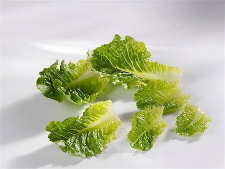 Romaine lettuce leaves Stock Photo - Premium Royalty-Free, Code: 659-01854385