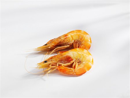 simsearch:659-01854637,k - Two shrimps Stock Photo - Premium Royalty-Free, Code: 659-01854657