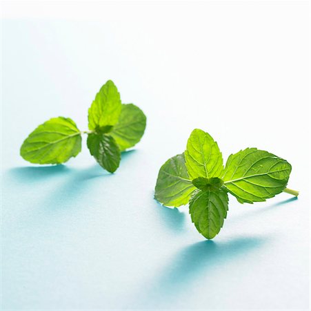 peppermint - Fresh mint Stock Photo - Premium Royalty-Free, Code: 659-01854905