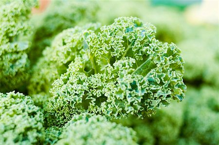Kale Stock Photo - Premium Royalty-Free, Code: 659-01855263