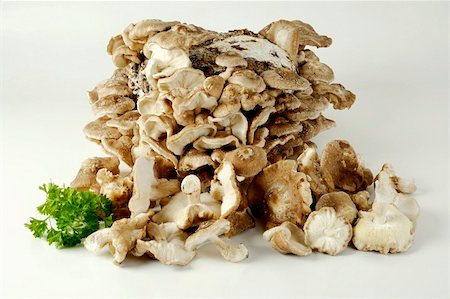 simsearch:659-01848022,k - Shiitake mushrooms Fotografie stock - Premium Royalty-Free, Codice: 659-01855412