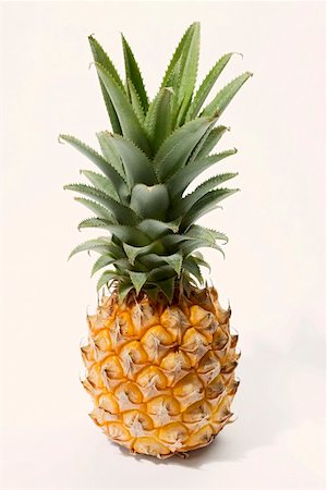 A baby pineapple Stock Photo - Premium Royalty-Free, Code: 659-01855446