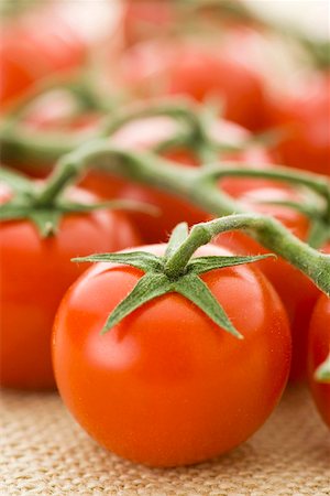 simsearch:659-01855907,k - Fresh tomatoes on the vine Foto de stock - Sin royalties Premium, Código: 659-01855454