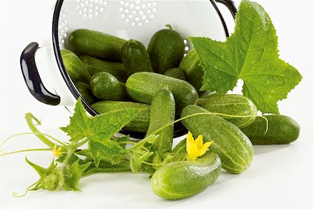 Fresh cucumbers in an upset colander Foto de stock - Sin royalties Premium, Código: 659-01855823