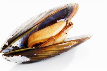 simsearch:659-01844635,k - An open mussel Fotografie stock - Premium Royalty-Free, Codice: 659-01855913