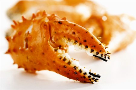 saltwater crustacean - A crab claw Stock Photo - Premium Royalty-Free, Code: 659-01855940