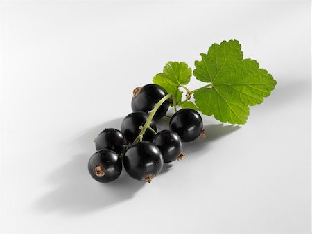 Blackcurrants with leaf Stock Photo - Premium Royalty-Free, Code: 659-01856119