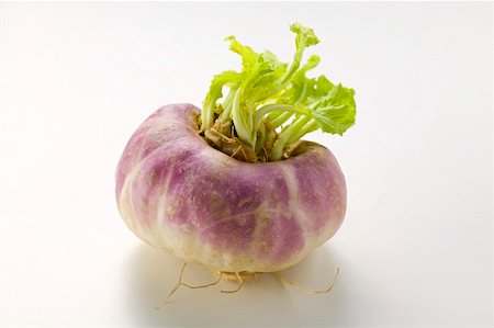 early turnip - A turnip Stock Photo - Premium Royalty-Free, Code: 659-01856821