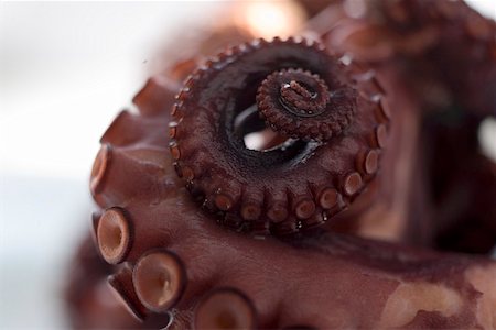 pieuvre - Smoked octopus Foto de stock - Sin royalties Premium, Código: 659-01857192