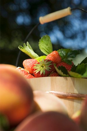 simsearch:659-01866601,k - Fresh strawberries with leaves in wooden bucket Foto de stock - Royalty Free Premium, Número: 659-01857702