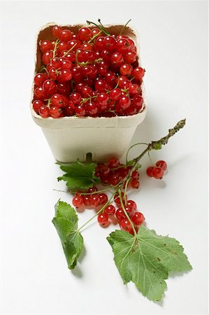 fruit tree silhouette - Redcurrants in cardboard punnet and on twig Stock Photo - Premium Royalty-Free, Code: 659-01857998