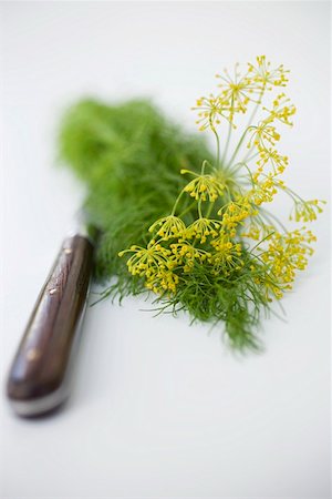 dill - Dill flowers with knife Foto de stock - Sin royalties Premium, Código: 659-01858035