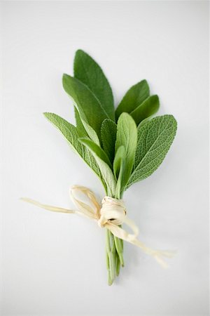 sage - A bunch of fresh sage Foto de stock - Sin royalties Premium, Código: 659-01858039