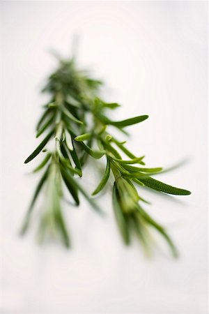 rosemary - Two sprigs of rosemary Foto de stock - Sin royalties Premium, Código: 659-01858045