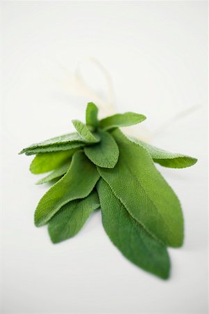 sage - A bunch of fresh sage Foto de stock - Sin royalties Premium, Código: 659-01858040