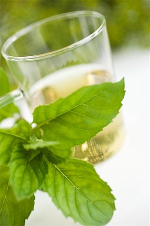 A sprig of fresh mint in front of tea glass Foto de stock - Sin royalties Premium, Código: 659-01858069