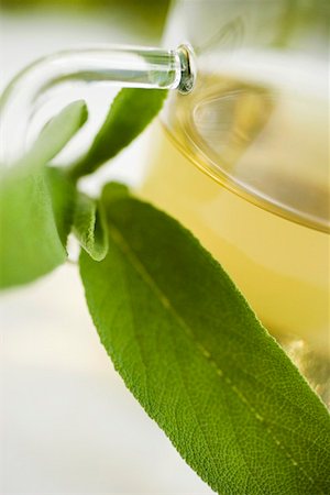 simsearch:659-01856845,k - Sage leaves beside tea glass Foto de stock - Sin royalties Premium, Código: 659-01858070