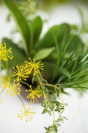 Bouquet d'herbes avec des fleurs à l'aneth Photographie de stock - Premium Libres de Droits, Code: 659-01858071