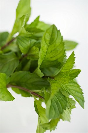 simsearch:659-01844158,k - A few sprigs of fresh mint Stock Photo - Premium Royalty-Free, Code: 659-01858072