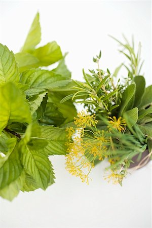 simsearch:659-06156006,k - Bouquet d'herbes et de menthe fraîche Photographie de stock - Premium Libres de Droits, Code: 659-01858073