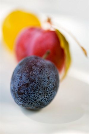 simsearch:659-01858102,k - Three different plums Stock Photo - Premium Royalty-Free, Code: 659-01858096