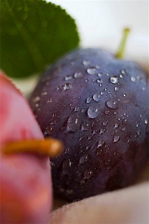 simsearch:659-01858102,k - Red plum and damson with leaf (close-up) Stock Photo - Premium Royalty-Free, Code: 659-01858107
