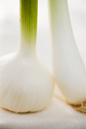 simsearch:659-01858118,k - Fresh garlic and spring onion (detail) Stock Photo - Premium Royalty-Free, Code: 659-01858147