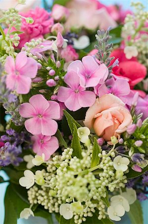 simsearch:659-03524278,k - Bouquet of summer flowers (detail) Stock Photo - Premium Royalty-Free, Code: 659-01858362