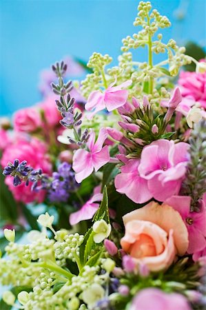 simsearch:659-03524278,k - Bouquet of summer flowers (detail) Stock Photo - Premium Royalty-Free, Code: 659-01858397